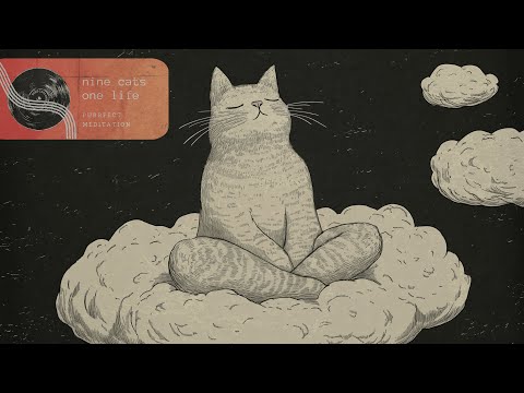 Purrfect Meditation