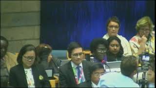 UNEA 3, Opening Plenary (OECPR): Helen Hakena intervention 