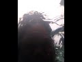 Lagi Mandi