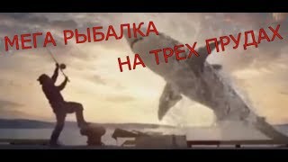 Какая рыбалка в орловской области карповский пруд