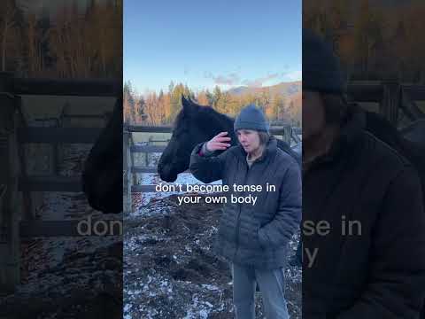 Spooky horse? How to respond and stay relaxed instead of holding tension. 👻#relaxing #spooky #horse