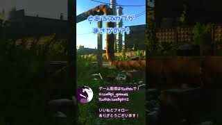 たまにこんなんあるよねｗ #EscapeFromTarkov #EFT #clips #shorts