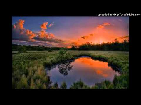 Pervading call - Destiny ( Dee Henry Remake)