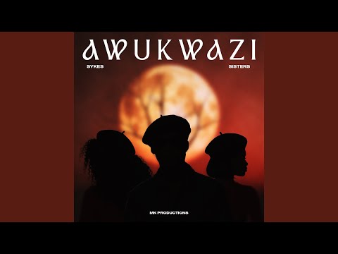 Awukwazi (feat. Dlala Thukzin)