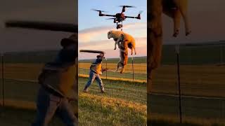 New technologies for catching predators #wildliferescue #shorts