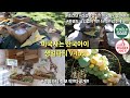 Birthday Party For A Korean Kid Living In The US Healthy Snacks Kids Snacks Adults S