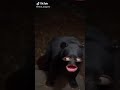 Tiktok Moldova