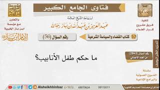 صورة 56     ما حكم طفل الأنابيب؟ للإمام ابن باز