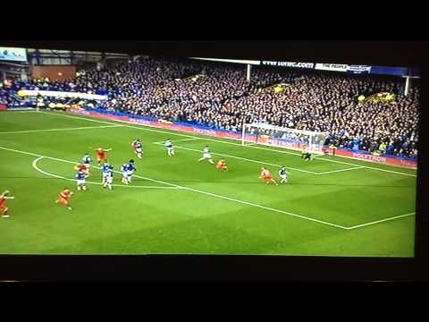 Luis Suarez Goal vs Everton 2013