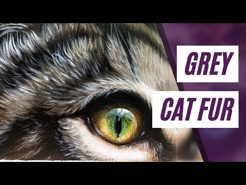 How To Paint Gray CAT FUR