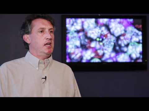 SILCS Drug Design Method