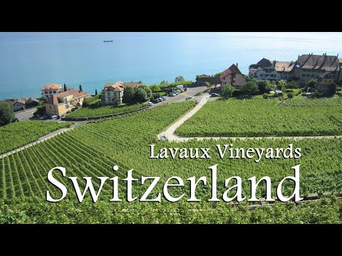 Lavaux Vineyard - The Breathtaking Jewel of Switzerland - A unique Landscape overlooking Lake Geneva