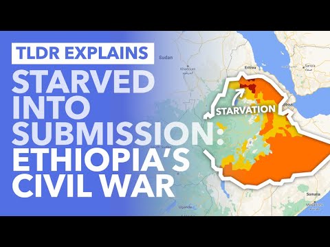 Ethiopia's Civil War: The Government Using Starvation as a Weapon Against Tigrayans? - TLDR News