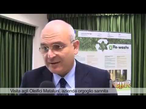 Visita agli Oleifici Mataluni azienda orgoglio sannita (Ntr 24)