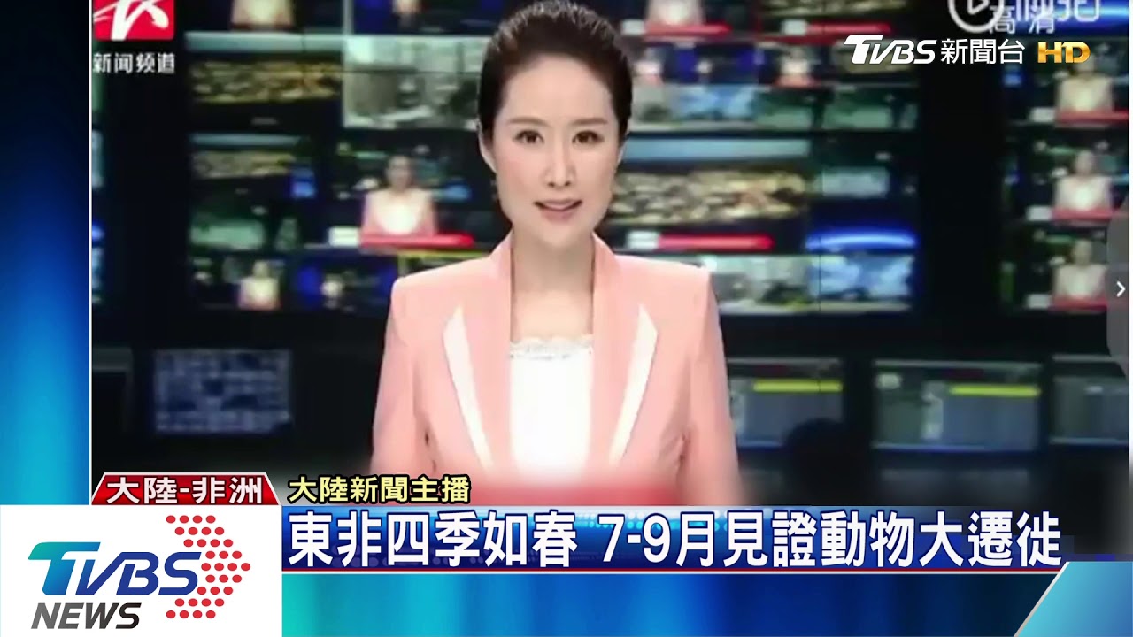 上海人夯非洲避暑 機票預訂量多2倍