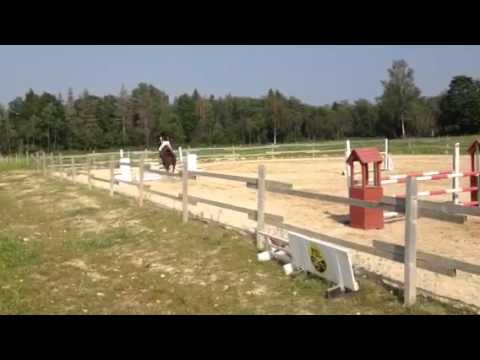 Silvester 29.07.2012