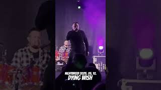 Dying Wish - Hiding in me