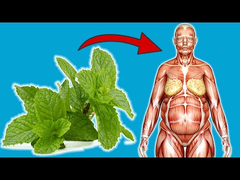 UNGLAUBLICHES passiert mit dir, wenn du jeden Tag Minze isst 💥 (WOW) 🤯