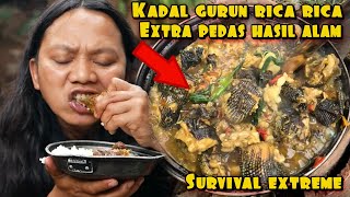 Download lagu KADAL GURUN RICA RICA HASIL ALAM mp3