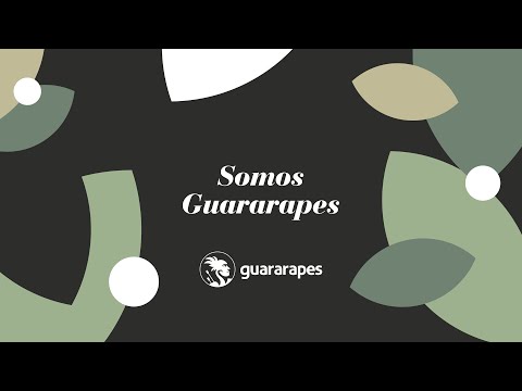 Somos Guararapes - Una de las mayores productoras de MDF y contrachapado de las Américas