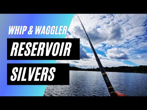 WHIP AND WAGGLER RESERVOIR SILVERS