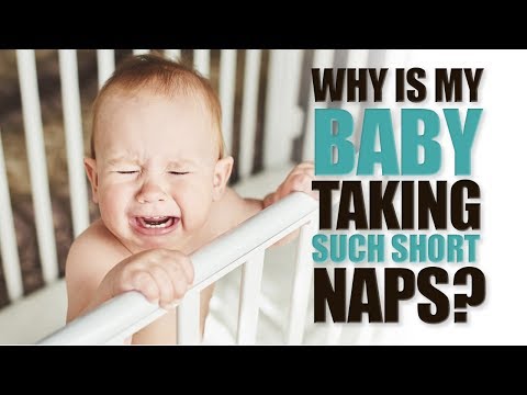 Why is my Baby Taking Such Short Naps?