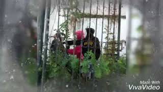 Download lagu urbex pasuruan mp3