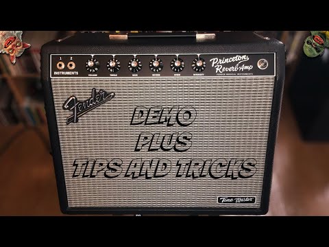 FENDER PRINCETON REVERB TONE MASTER - Demo Plus Tips and Tricks