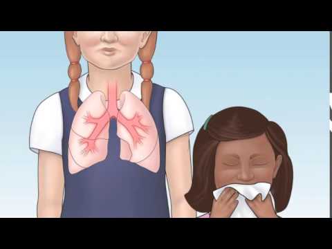 Understanding Asthma