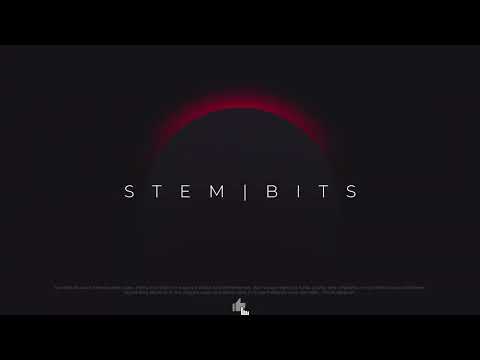 StemBits - Ghanaian Praise Loop