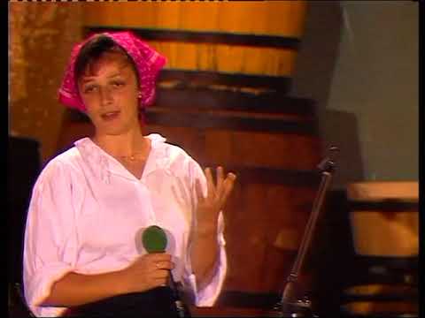 ANSAMBEL COF  -  Super novica