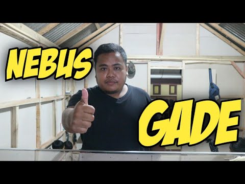 nebus-gade-film-pendek