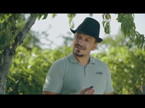 Hekurani ft. Trimi - Rrushe (Official Video 4K)