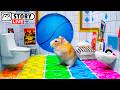 The World S Largest Hamster Prison Maze Homura Ham