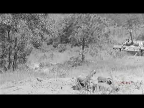 Super Bazooka vs  Armor — M20 Anti Tank Firepower