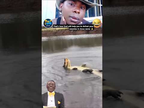 Funny kangaroo video 🤣🦘 #short #funny