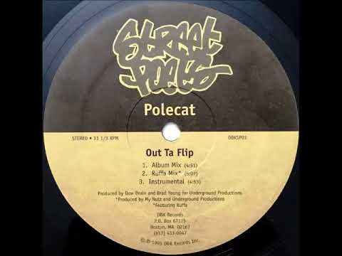 Street Poets (Polecat) feat. Ruffa-Out fa flip [Ruffa mix] (1995)