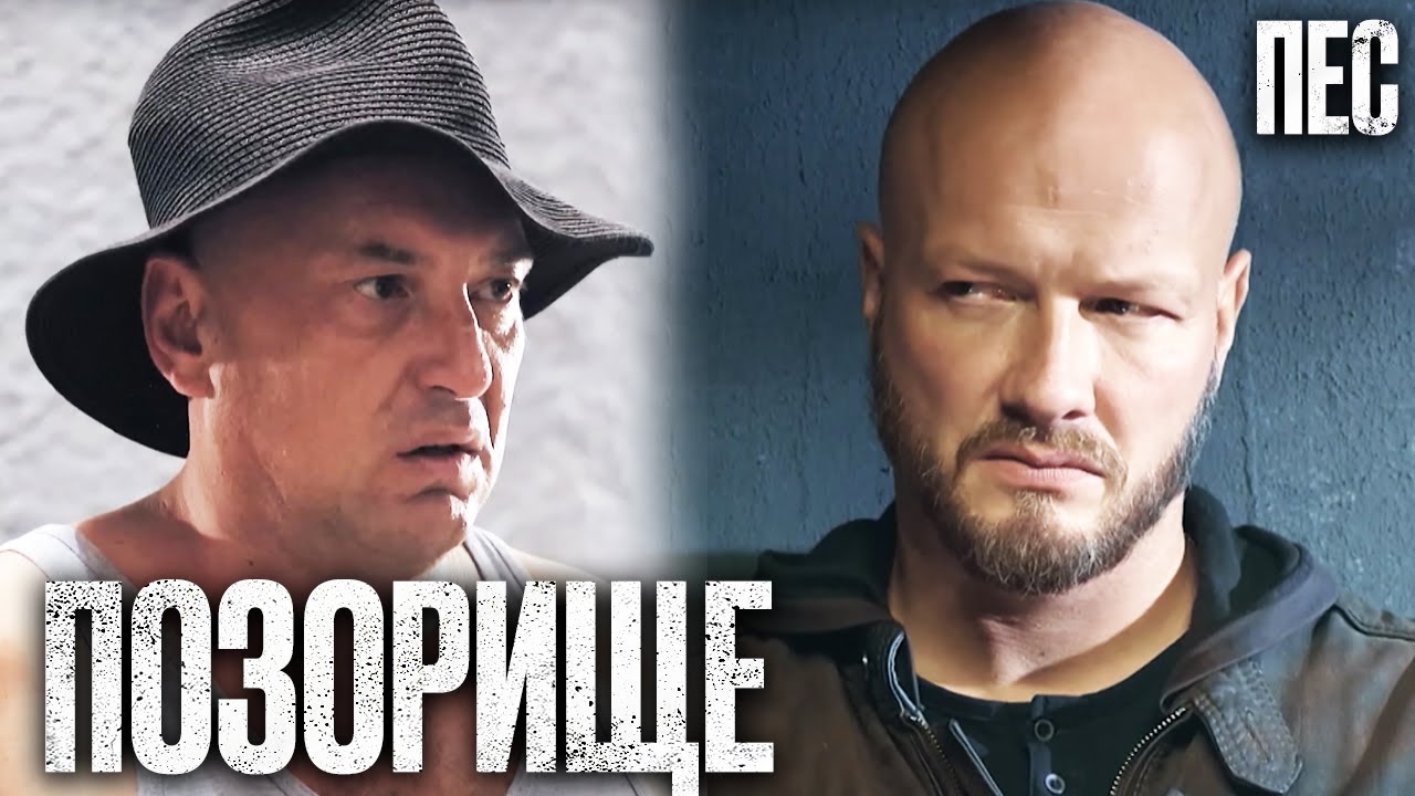 🎬 ИСПАНСКИЙ СТЫД! Смешной ДЕТЕКТИВ 2023 - Сериал ПЕС 2023 - Лучшие серии