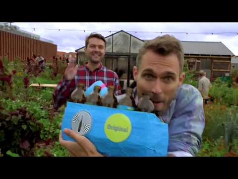 Bio Strath presents the Bottle Boys  Full of Life - Dieticlar