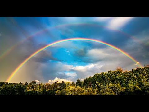 05.03 Mechansitic Explanation – Beyond Networks: The Evolution of Living Systems