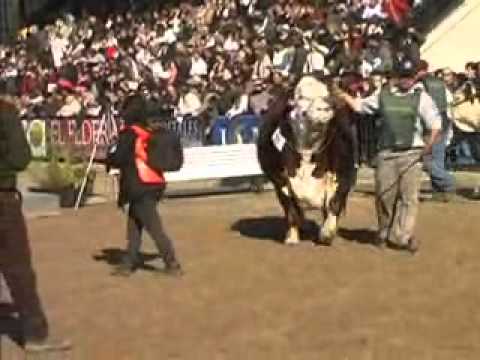 Nota 1  Martin Lisazo