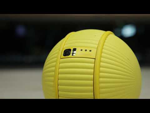 Vidéo YouTube - x2G6FkyVCEI