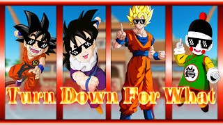 Top 5 Mejores Turn Down For What | Dragon Ball Z | Parte 1 |