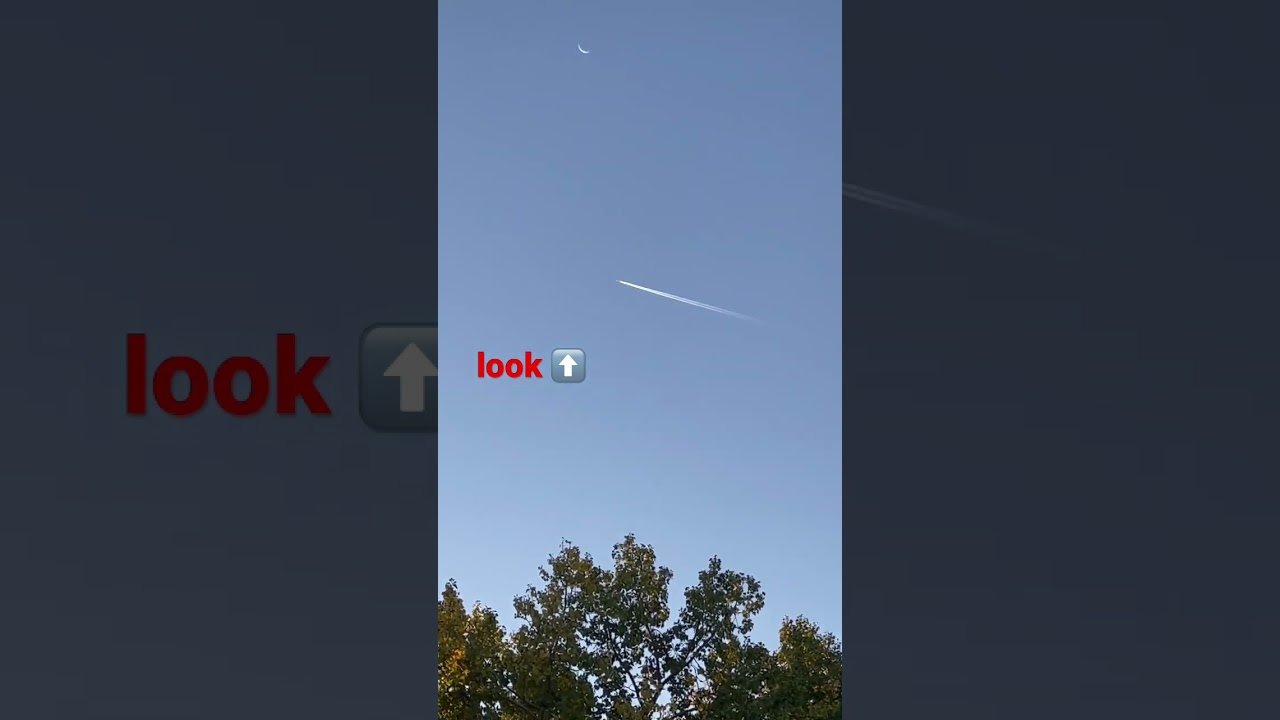 Happy First day of FALL 2022