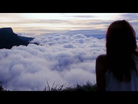 THE NATION - HUMAN NATURE