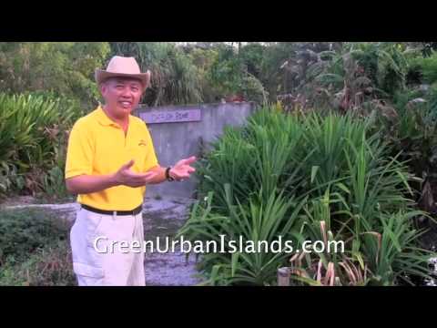 download lagu mp3 mp4 Clean Urban, download lagu Clean Urban gratis, unduh video klip Clean Urban
