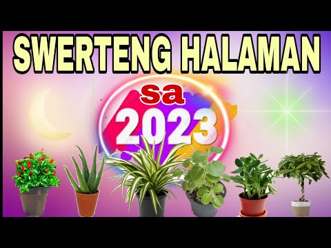 , title : 'SWERTENG HALAMAN SA 2023