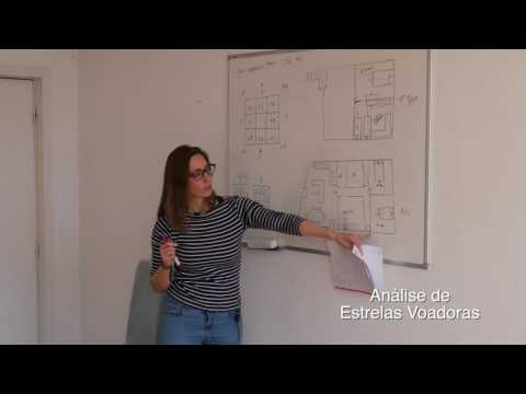 Trabalho Estrelas Voadoras