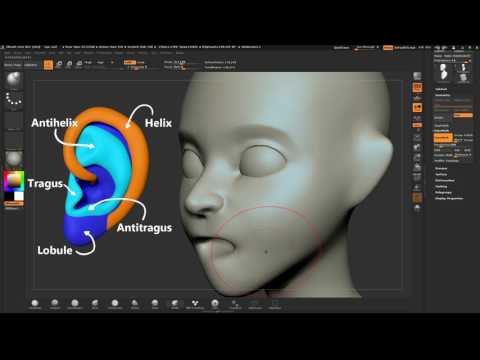 ZBrushCore - Steve James - Part 3 Nose and Ears