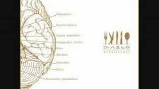 Diablo - Hollow point